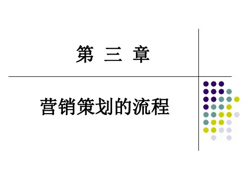 第三章 营销策划的八步流程