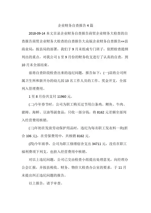 企业财务自查报告4篇