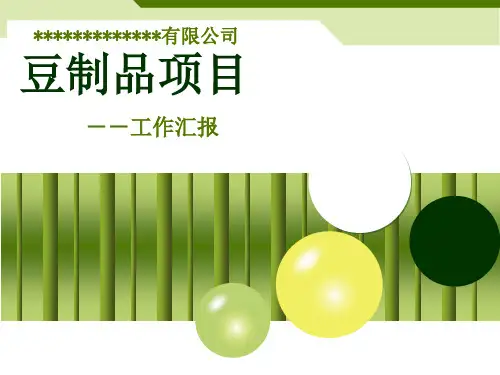 豆制品项目计划书.
