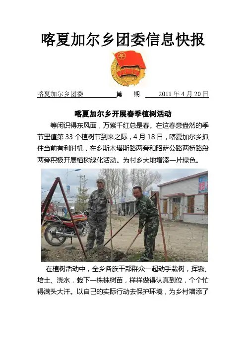 植树活动信息简报