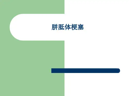 胼胝体梗塞