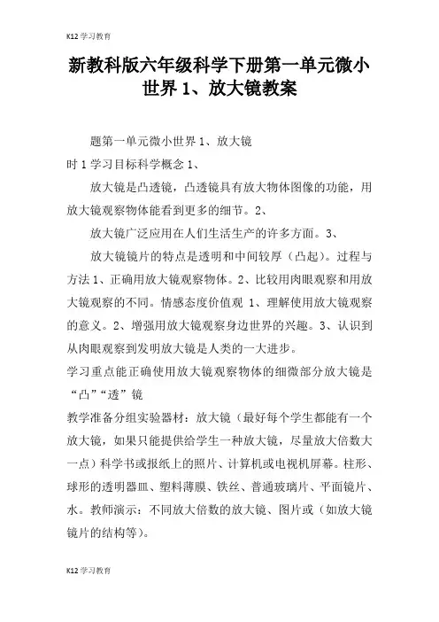 【K12学习】新教科版六年级科学下册第一单元微小世界1、放大镜教案