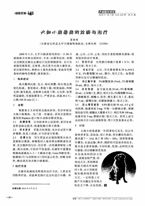 犬细小病毒病的诊断与治疗