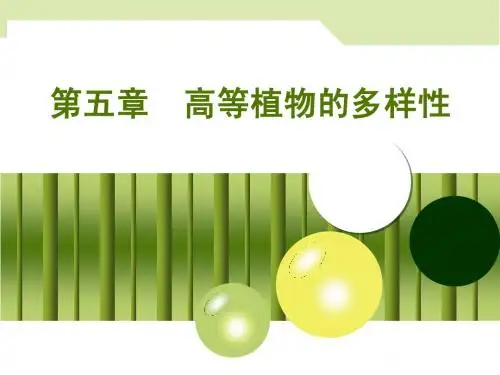 第五章  高等植物的多样性----裸子植物
