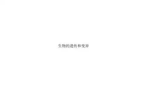 生物的遗传和变异
