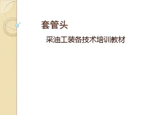 19 采油工 套管头结构与工作原理