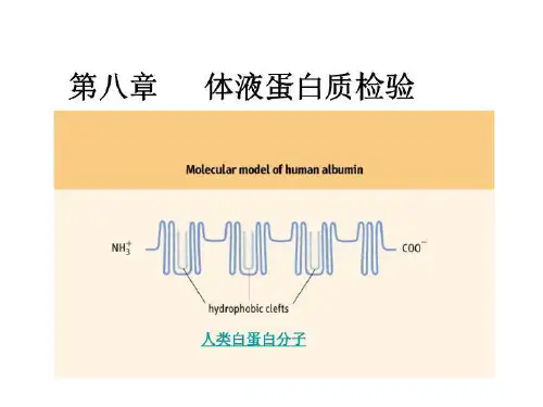 血清蛋白质测定