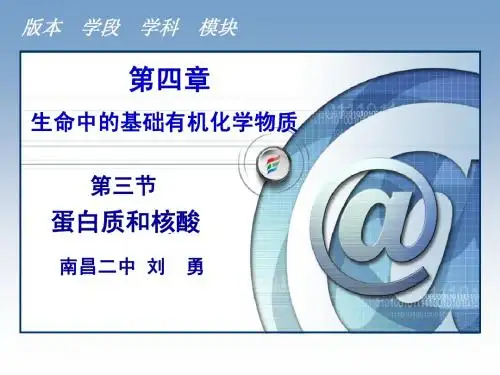 《蛋白质和核酸》教学课件(人教版,30张PPT)
