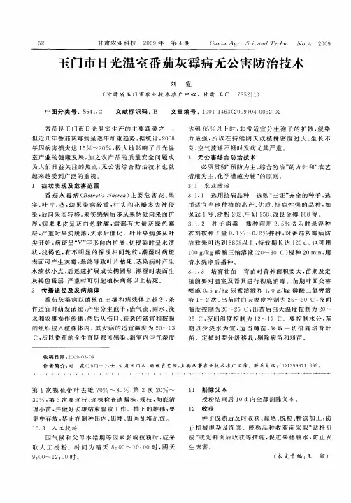 玉门市日光温室番茄灰霉病无公害防治技术
