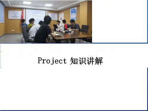 Project教程完整版