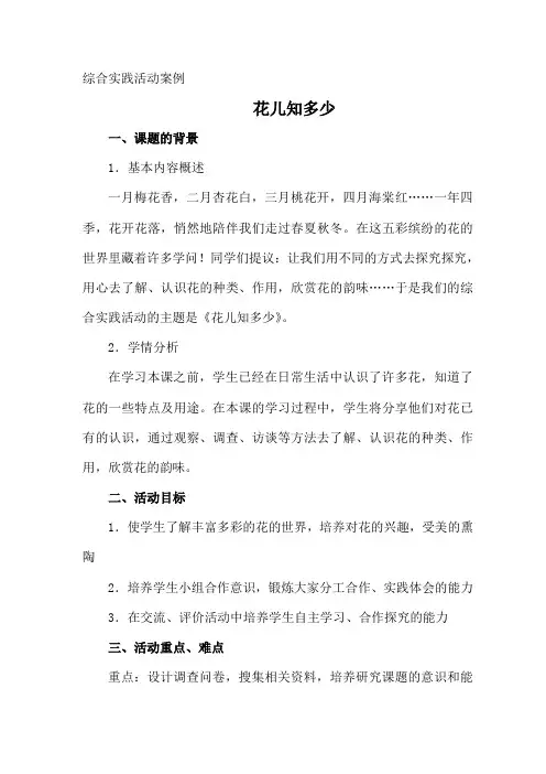 综合实践活动案例.