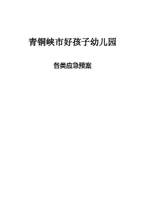 幼儿园各类应急预案大全