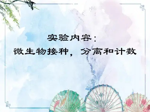 【微生物实验】实验三微生物的接种分离和纯培养wzj