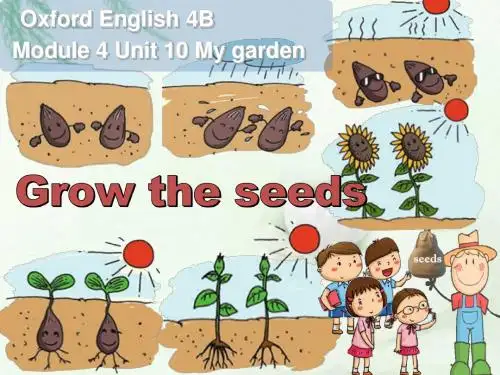 上海教育版英语四年级下册Module 4 Unit 10《my garden》(第2课时)课件