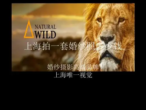 上海拍一套婚纱照多少钱
