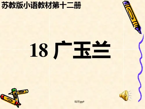 苏教版小学六年级语文下册《广玉兰