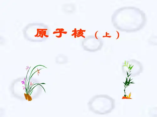 原子核例题及习题解析(上)