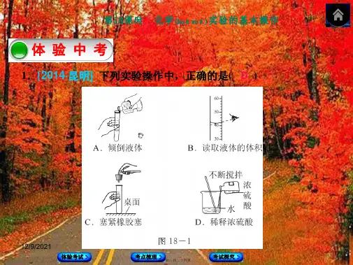 中考化学第一轮复习 第18课时 化学实验的基本操作课件