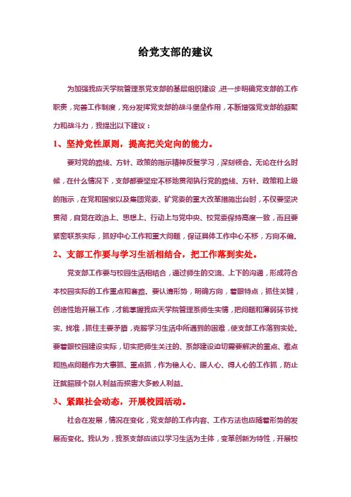给党支部的建议