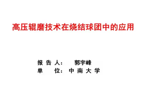 郭宇峰--高压辊磨应用