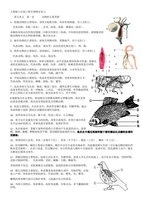 人教版八年级上册生物期末复习提纲