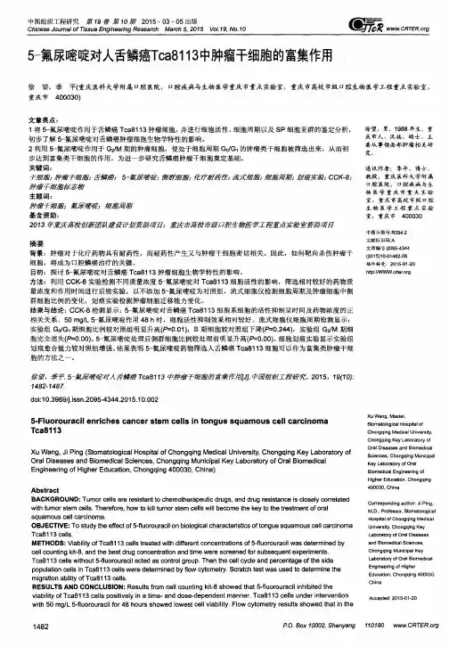 5-氟尿嘧啶对人舌鳞癌Tca8113中肿瘤干细胞的富集作用