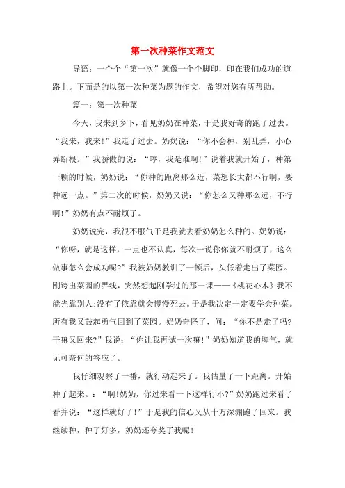 第一次种菜作文范文
