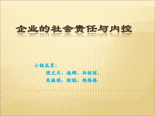 社会责任与内控