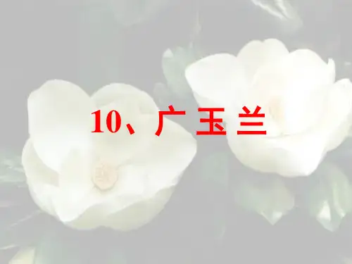 新国标苏教版小学六年级语文下册18《广玉兰》ppt课件(1)