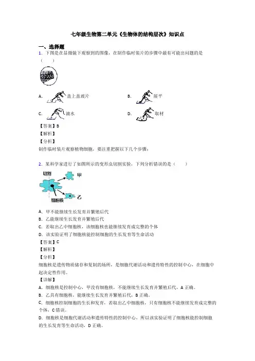 七年级生物第二单元《生物体的结构层次》知识点