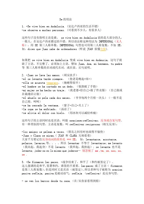 Se的用法