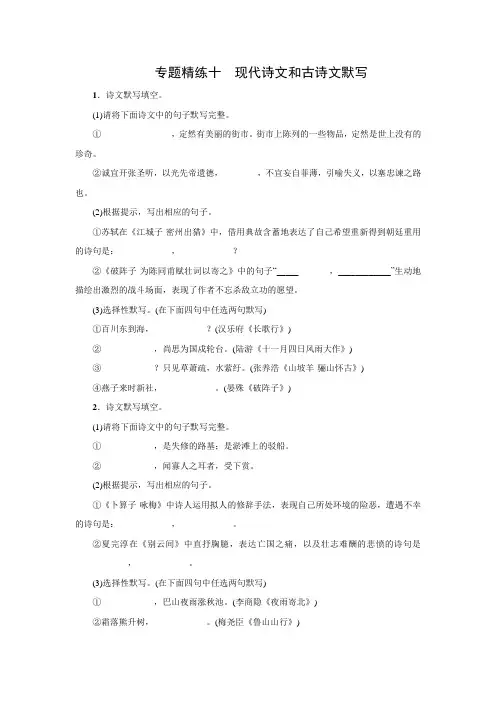 2017专题精练十现代诗文和古诗文默写.doc