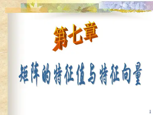 7.1 矩阵的特征值与特征向量