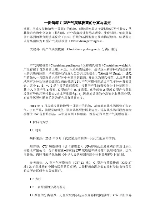 一株鸽源C型产气荚膜梭菌的分离与鉴定