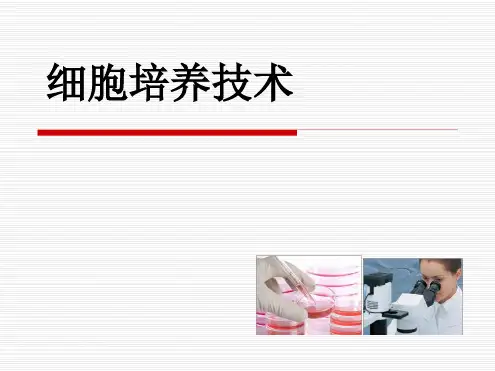细胞培养技术ppt课件
