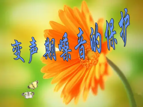 变声期嗓音的保护