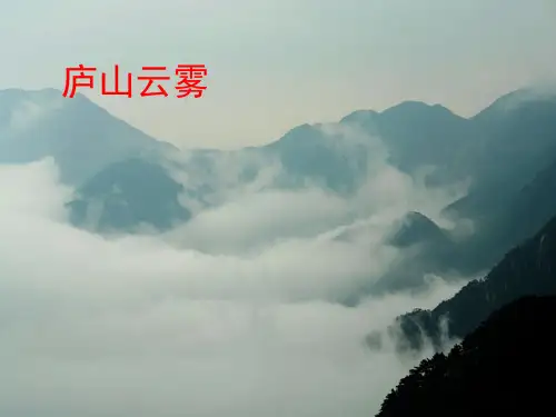 黄山奇松第一课时(1).ppt