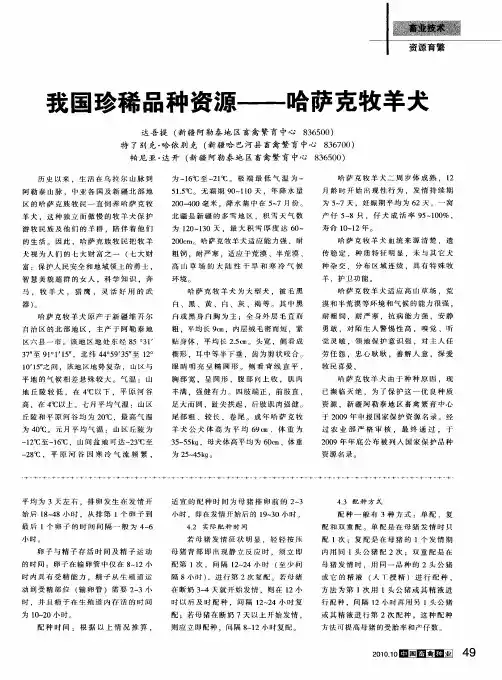 我国珍稀品种资源——哈萨克牧羊犬