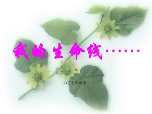 我的生命线