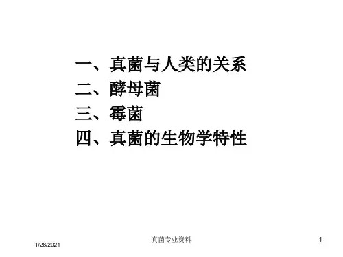 真菌专业资料培训课件