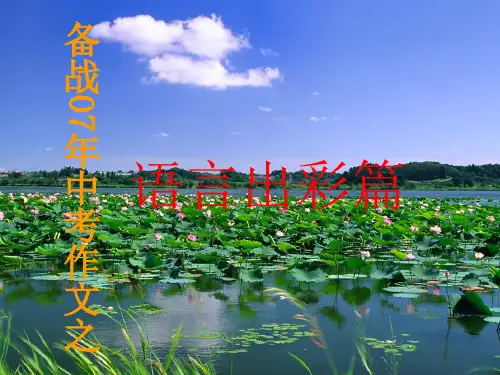 初中作文指导语言出彩篇分享资料