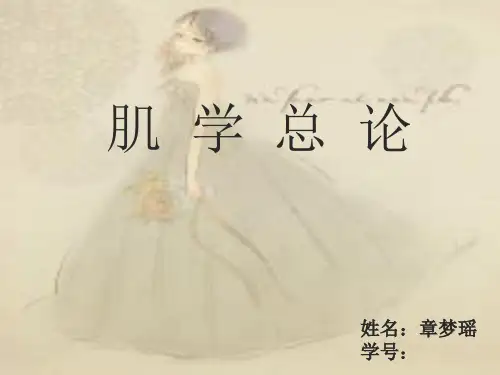 肌学总论