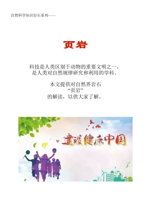 自然科学知识文库岩石系列：页岩