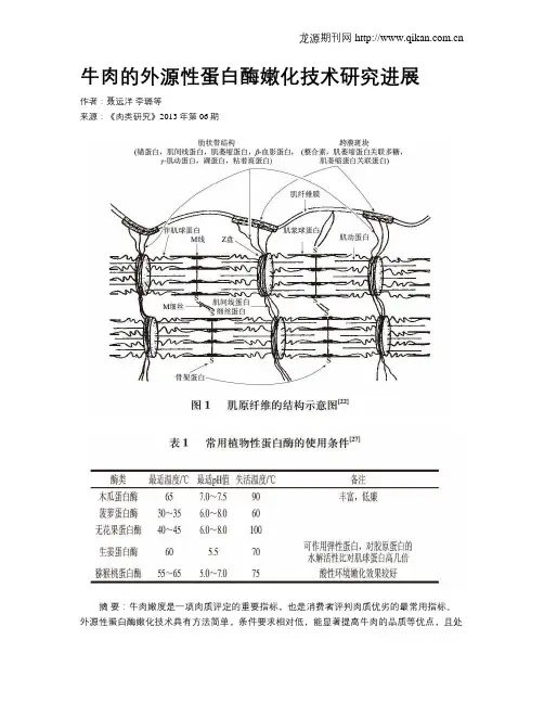 牛肉的外源性蛋白酶嫩化技术研究进展