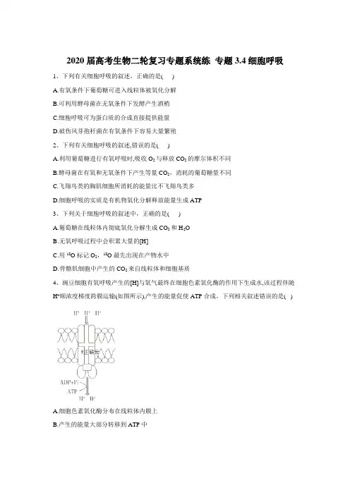 2020届高考生物同步复习专题系统练： 专题3.4细胞呼吸 Word版含答案