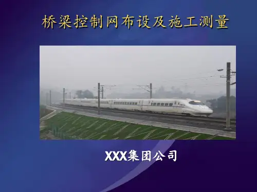 桥梁控制网及施工测量PPT课件