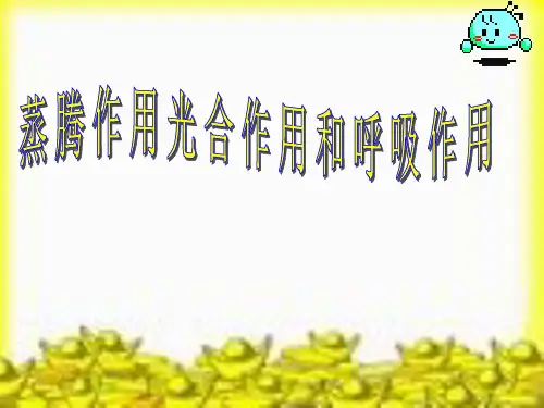 初中生物_植物的三大作用教学课件设计