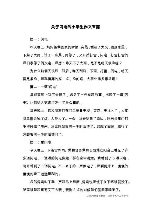 关于闪电的小学生作文五篇
