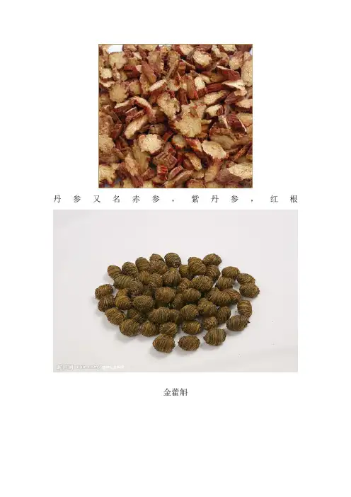 几种中药材的图片识别