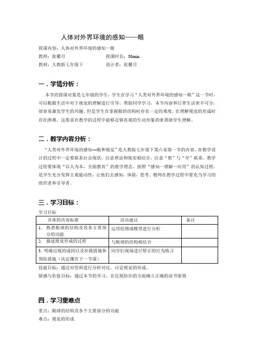 【眼和视觉】教案